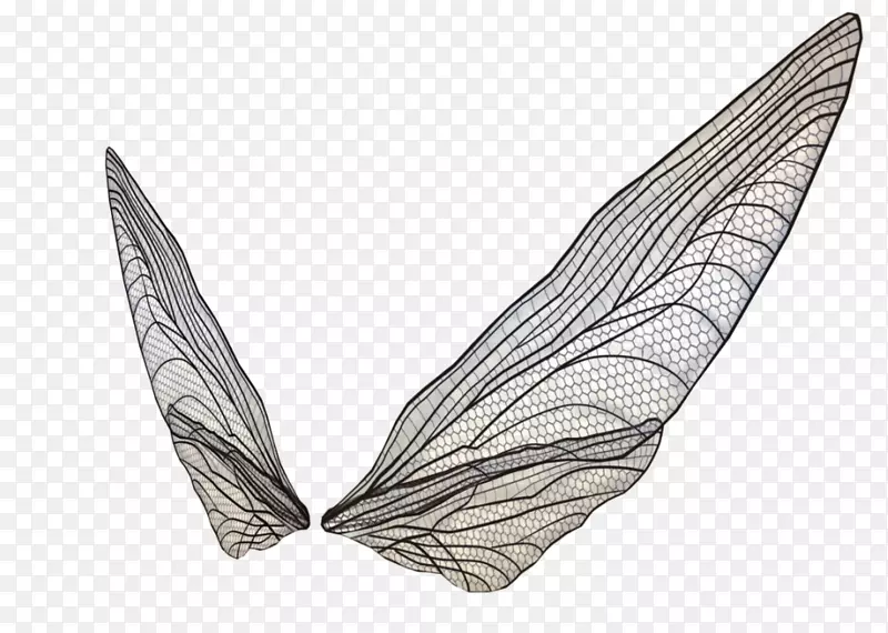 3D透明翅膀