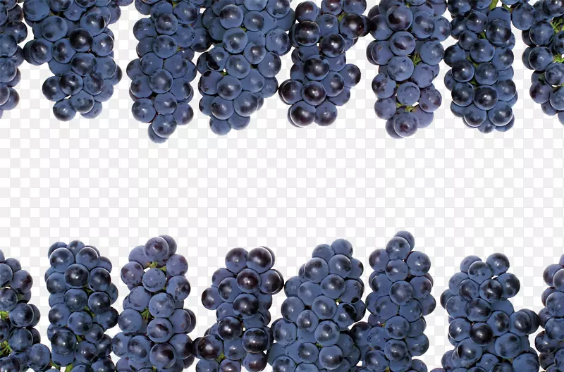黑加仑水果装饰边框