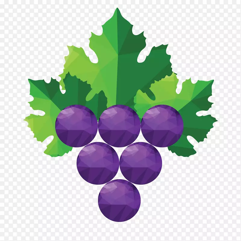 矢量手绘紫色几何葡萄