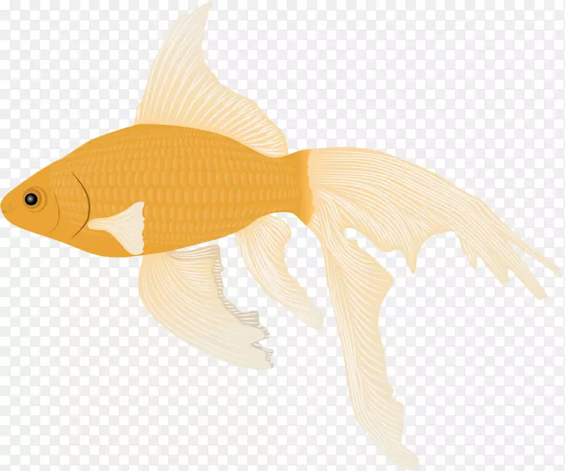 黄色扁平化金鱼