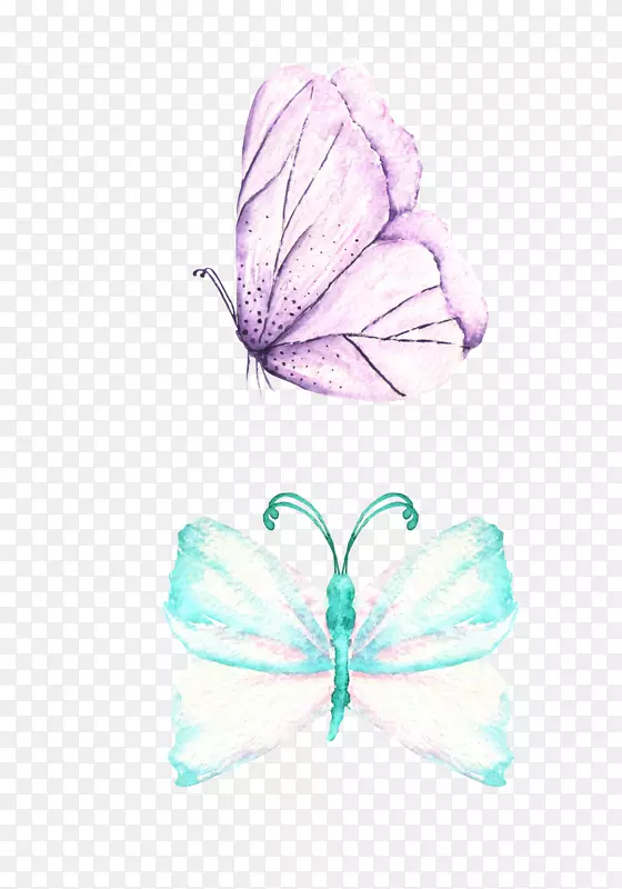 手绘水彩两只蝴蝶