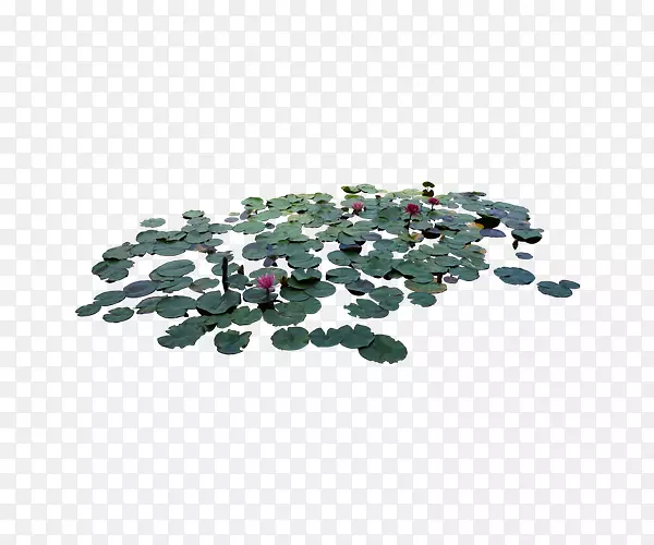 深绿色荷塘