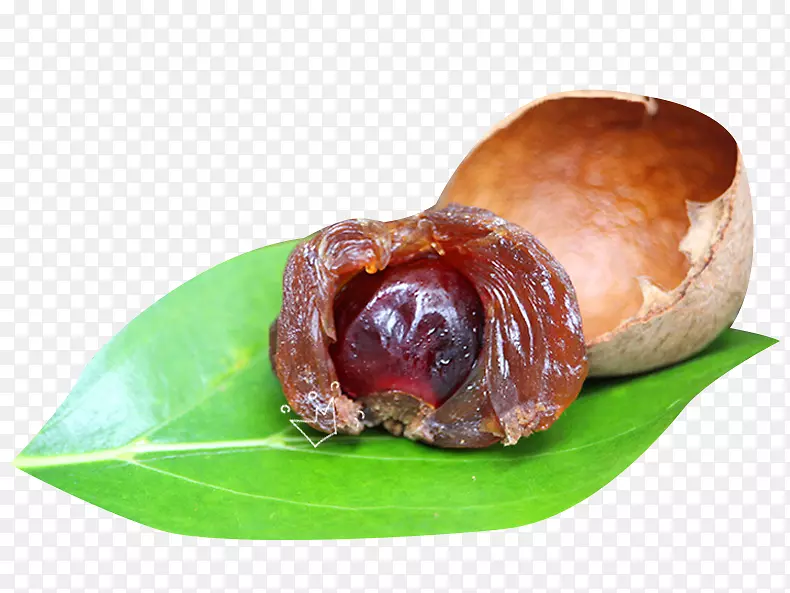 新鲜特质龙眼干素材