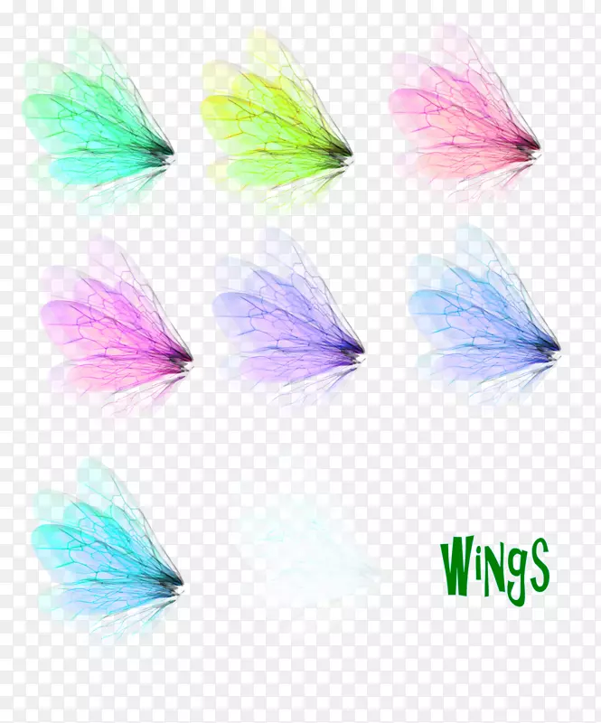 手绘翅膀简约 彩色的羽翼