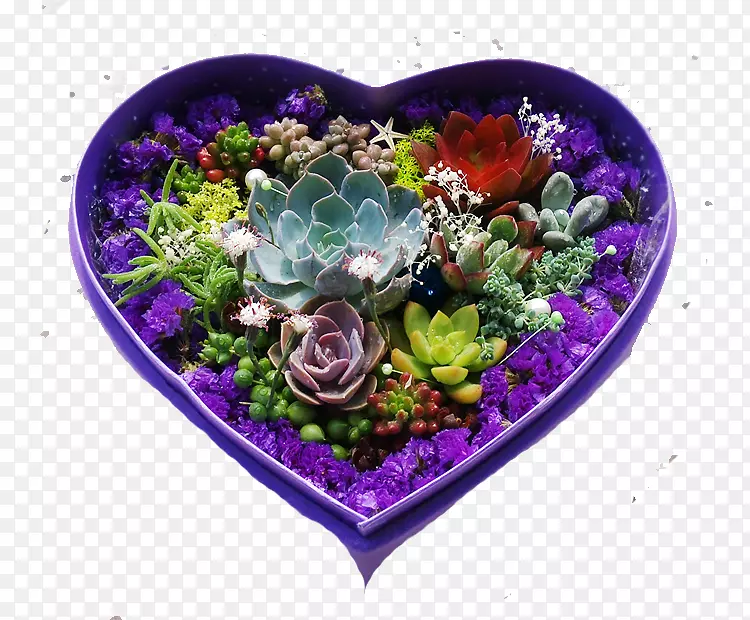 紫色花盒