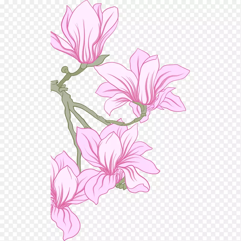 矢量手绘粉红色玉兰花花朵插画