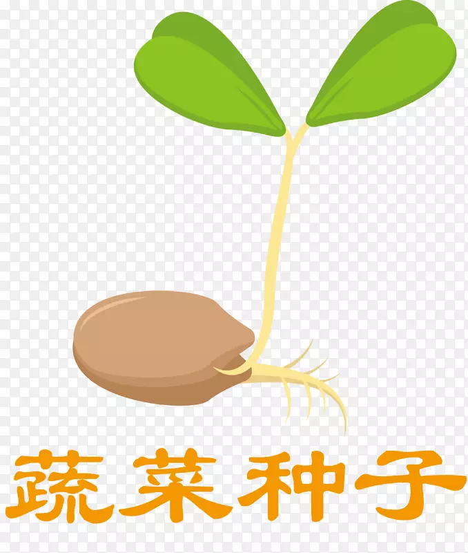 水墨种子发芽种子水稻