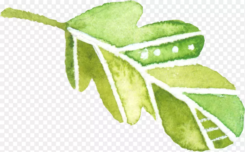 手绘绿色水彩叶子装饰元素