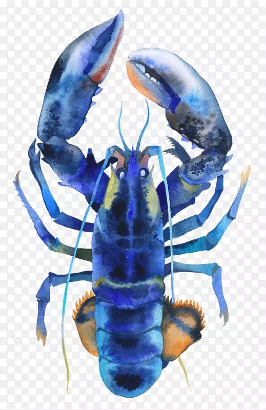 蓝色深海龙虾图案