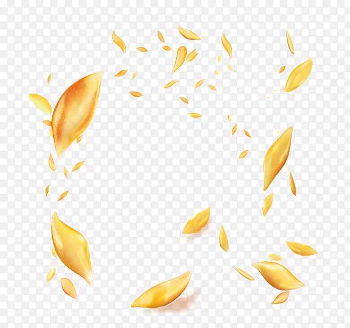 金黄的花瓣随风飘落
