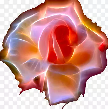 抽象线性玫瑰