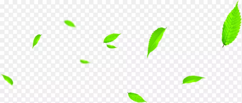 高清绿色随风飘扬的树叶合成效果