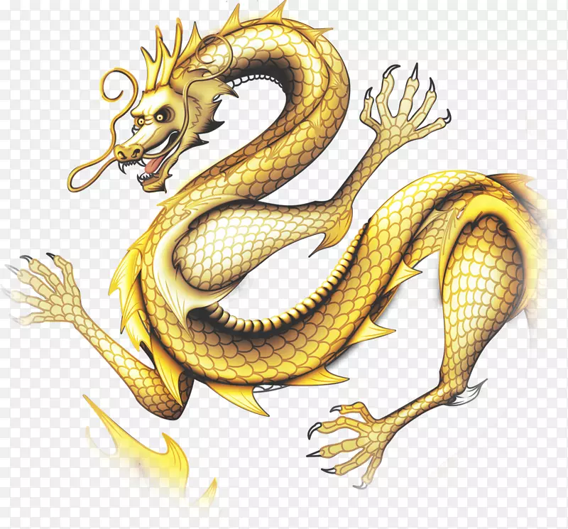 五爪金龙手绘中国风