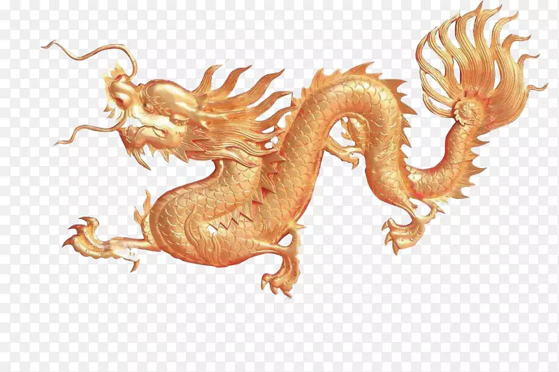 飞舞的金色长龙图