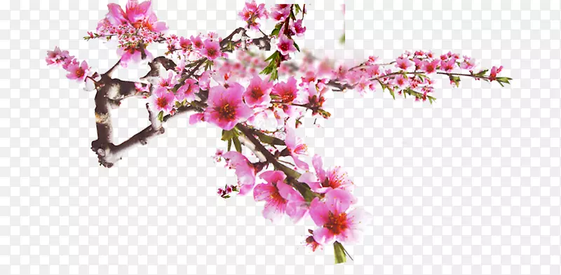 梅花