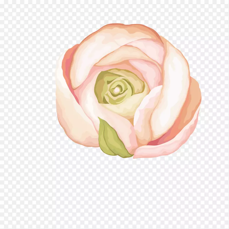 粉红色花朵唯美手绘