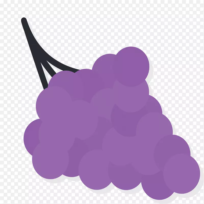 矢量紫色葡萄素材
