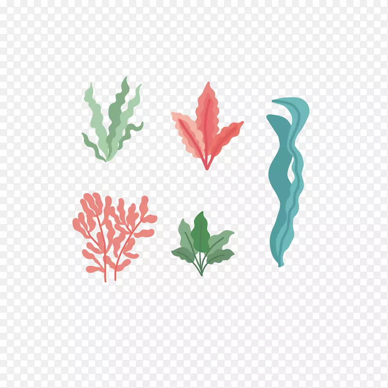矢量简洁手绘水彩珊瑚藻