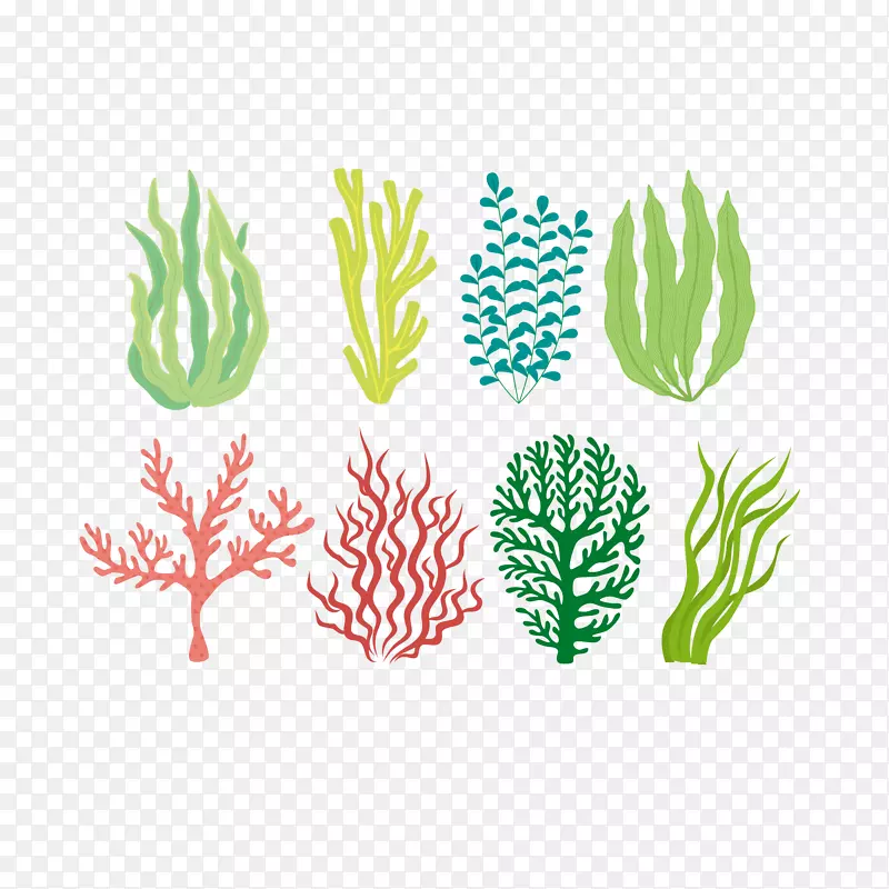 矢量简洁卡通珊瑚藻