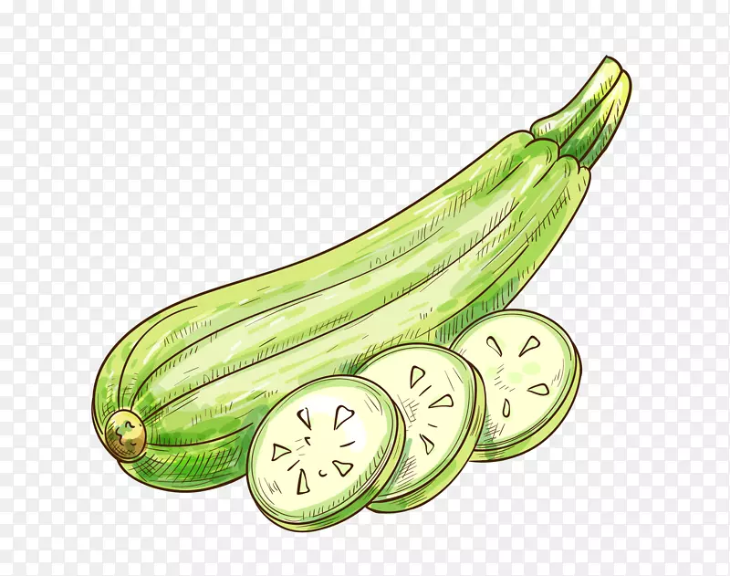 矢量卡通扁平化绿色西葫芦png