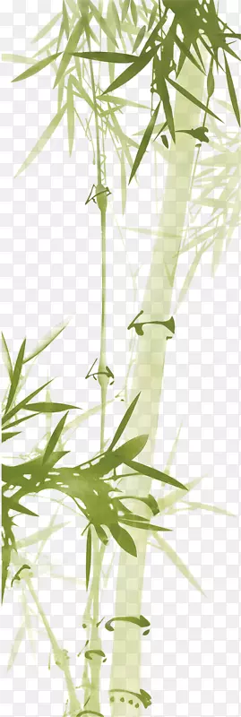 绿色竹子
