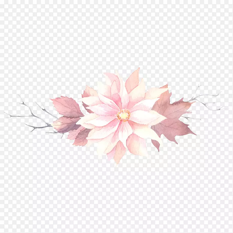 手绘花卉花朵装饰