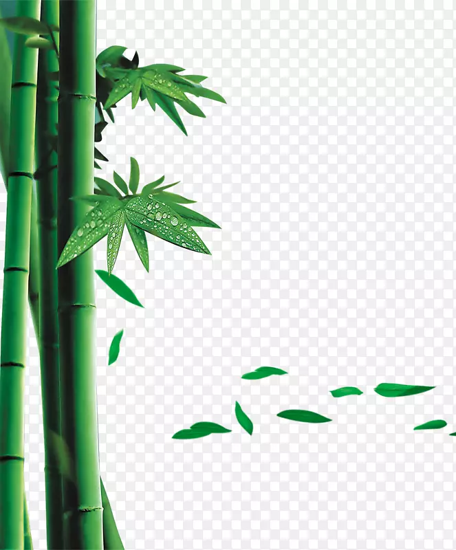 绿色竹子
