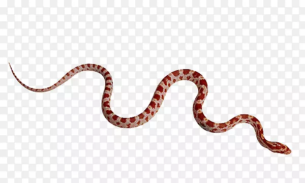 细细的红蛇