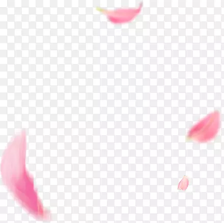 粉色花瓣漂浮物