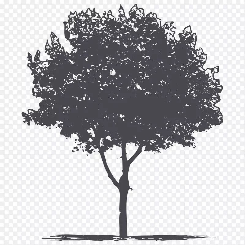 卡通手绘一棵大树