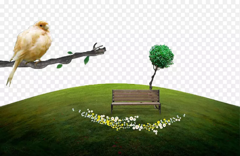 广告创意图片-球形草坪树枝金色