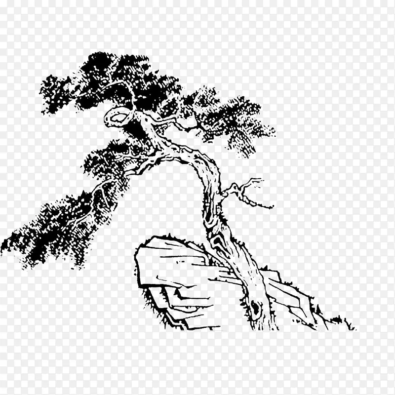 悬崖上成长的古树手绘图