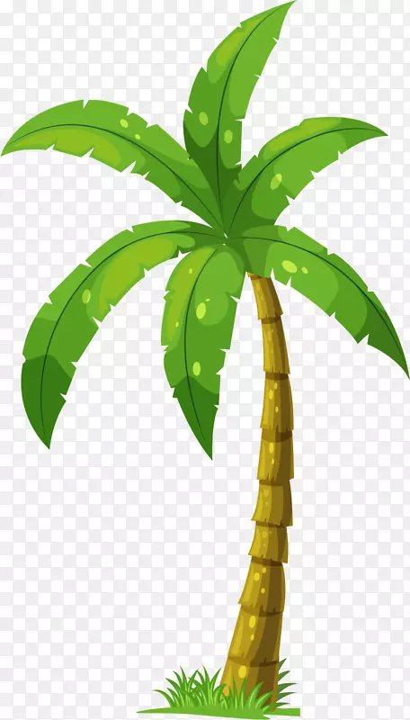 矢量图嫩绿的椰子树