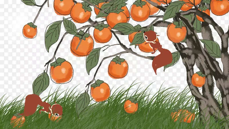 免抠卡通手绘松狮吃柿子插画