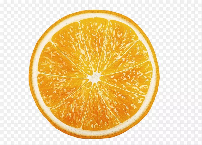 卡通手绘橙子水果