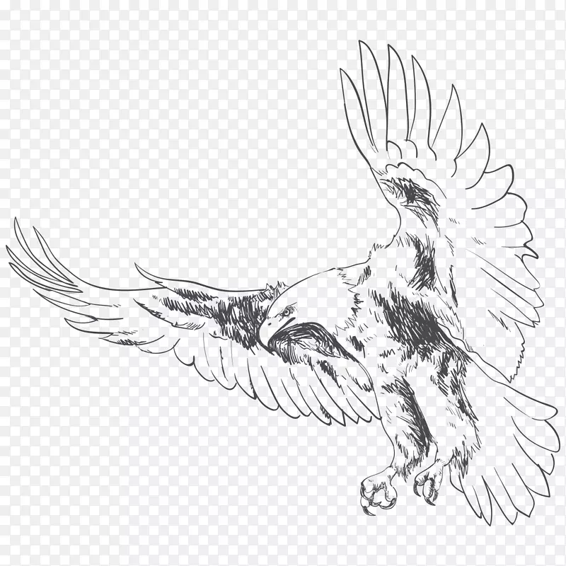 卡通手绘飞翔的鹰