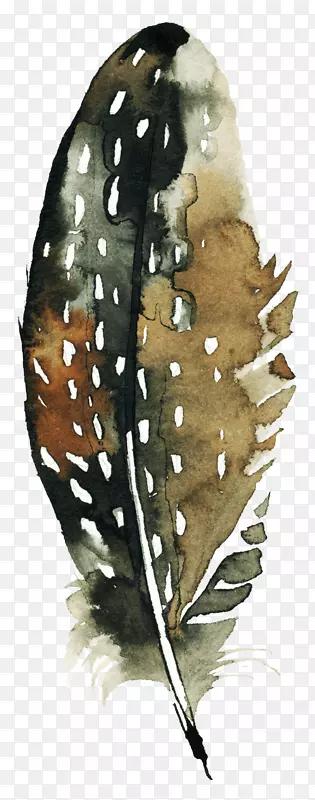 手绘漂浮的羽毛装饰