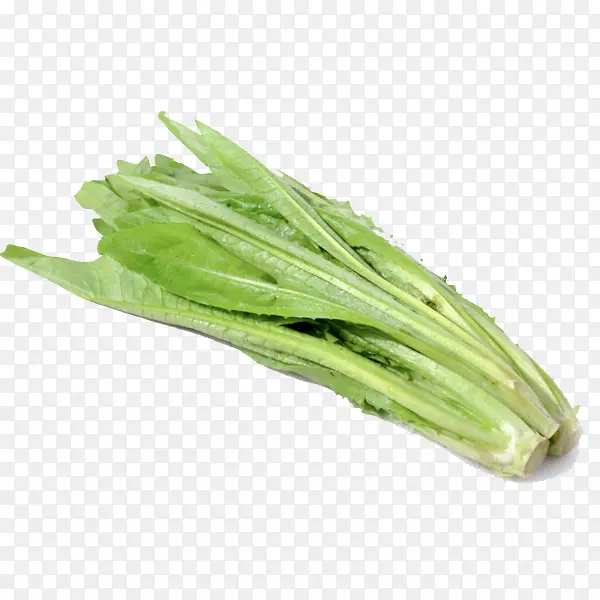 油麦菜免抠图片素材