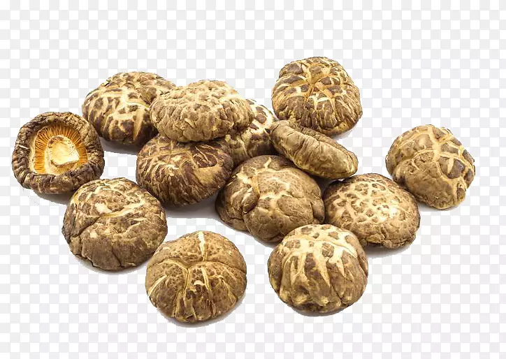 干香菇摄影