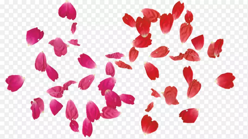 漂浮的红色花瓣
