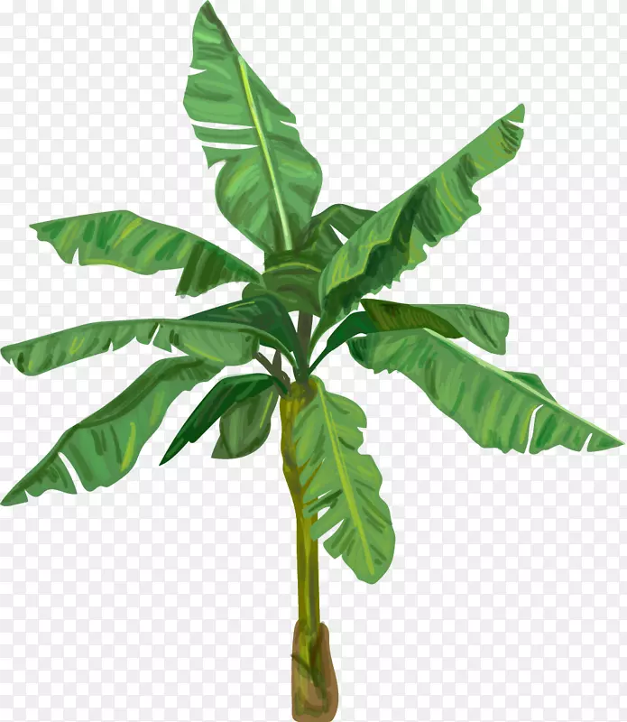 绿色植物装饰元素PNG图片素材下载_图片编号qjdxlbnq-免抠素材网