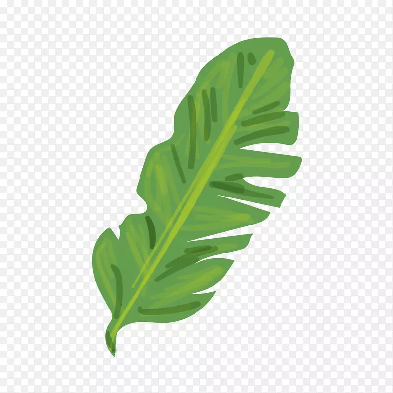 绿色植物装饰元素PNG图片素材下载_图片编号qpvdpxdq-免抠素材网