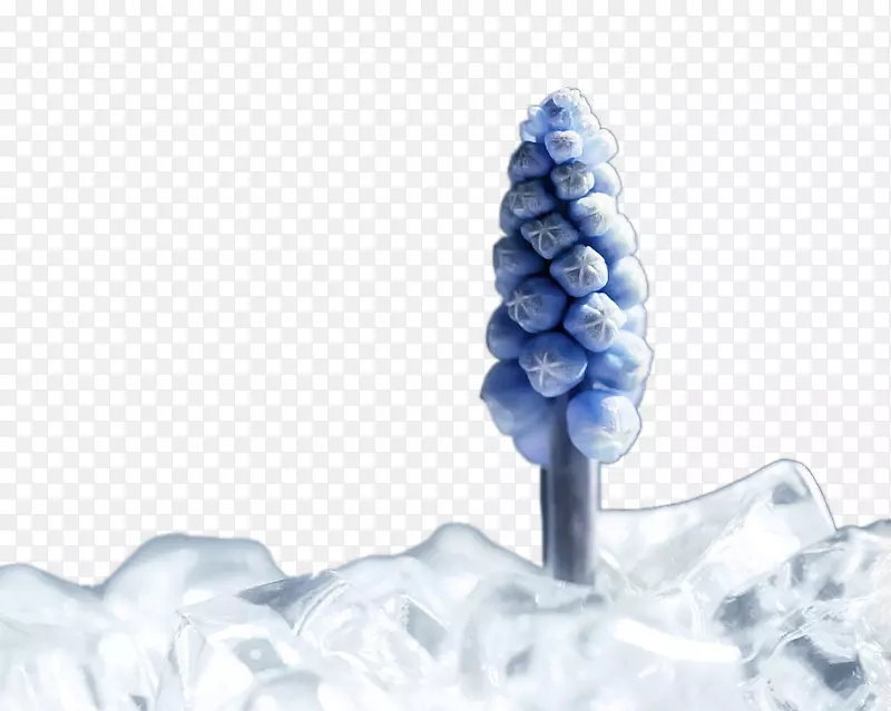 创意冰山上的冰树