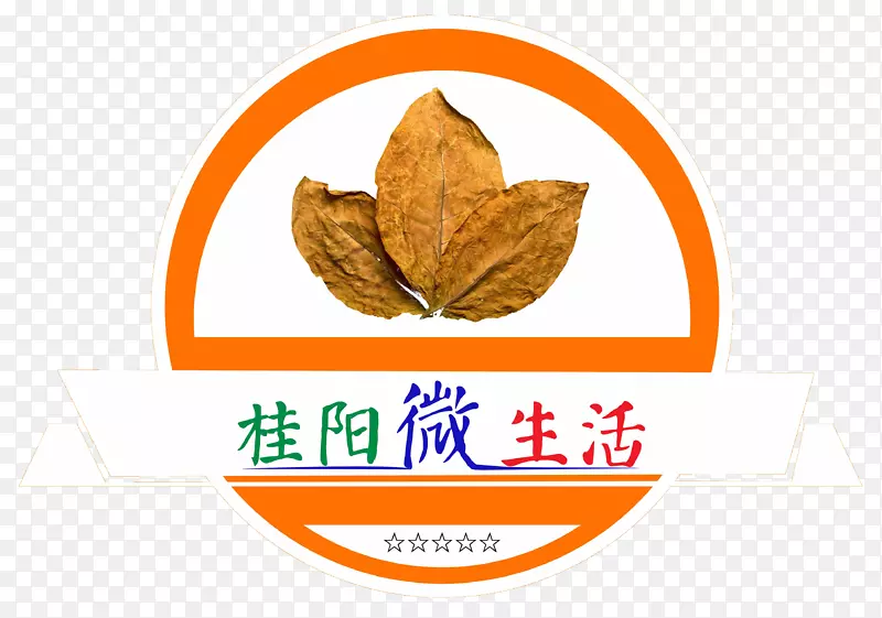 桂阳微生活logo