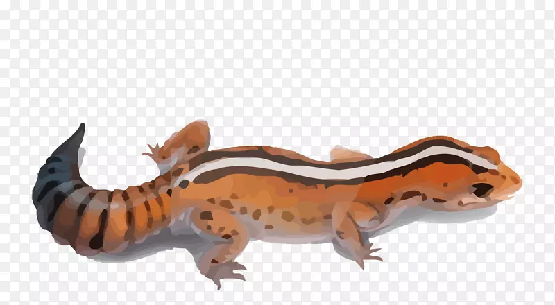 矢量水彩橙色蜥蜴