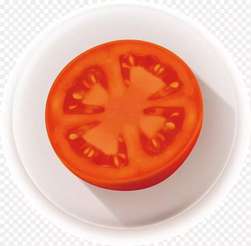 手绘矢量立体食物番茄片素材