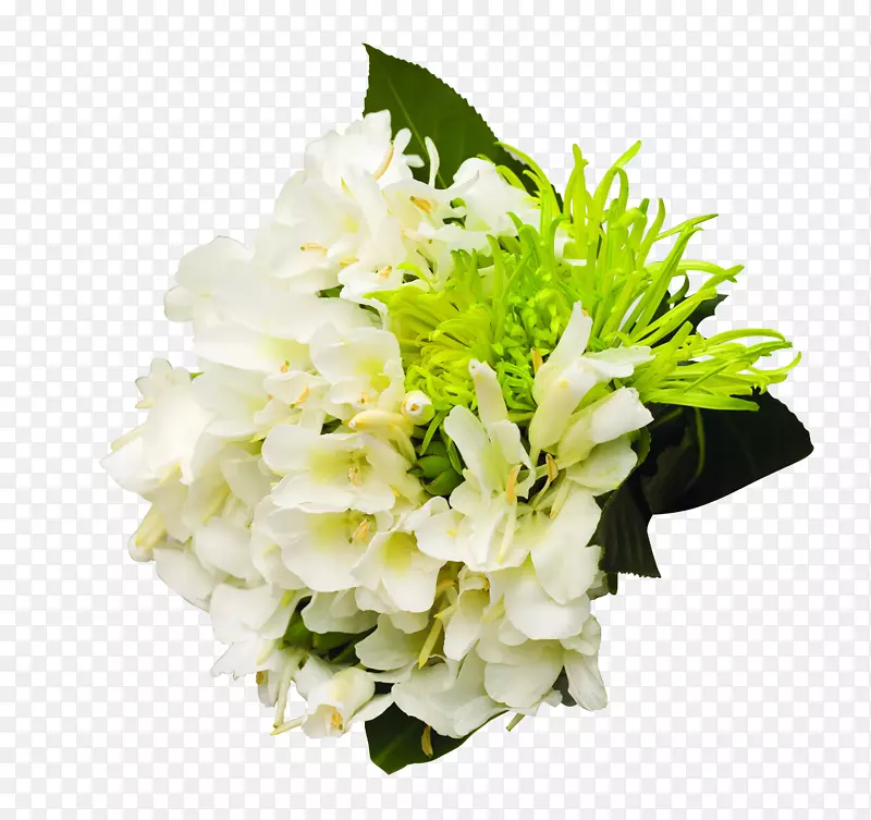 白色植物捧花