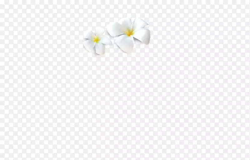 白玉兰花，黄色花蕊鸡蛋花，白色