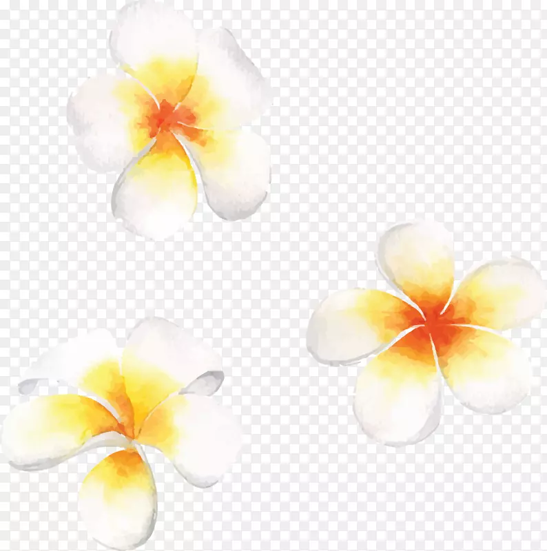 矢量手绘鸡蛋花