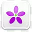紫色小花图标